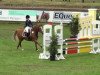 jumper Peppino 55 (German Riding Pony, 1996, from Playback)