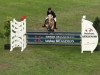 Springpferd Majestix 9 (Haflinger, 1997, von Mondego (3,125% ox))