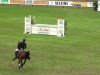 jumper Deistar (German Riding Pony, 2002, from Deister)