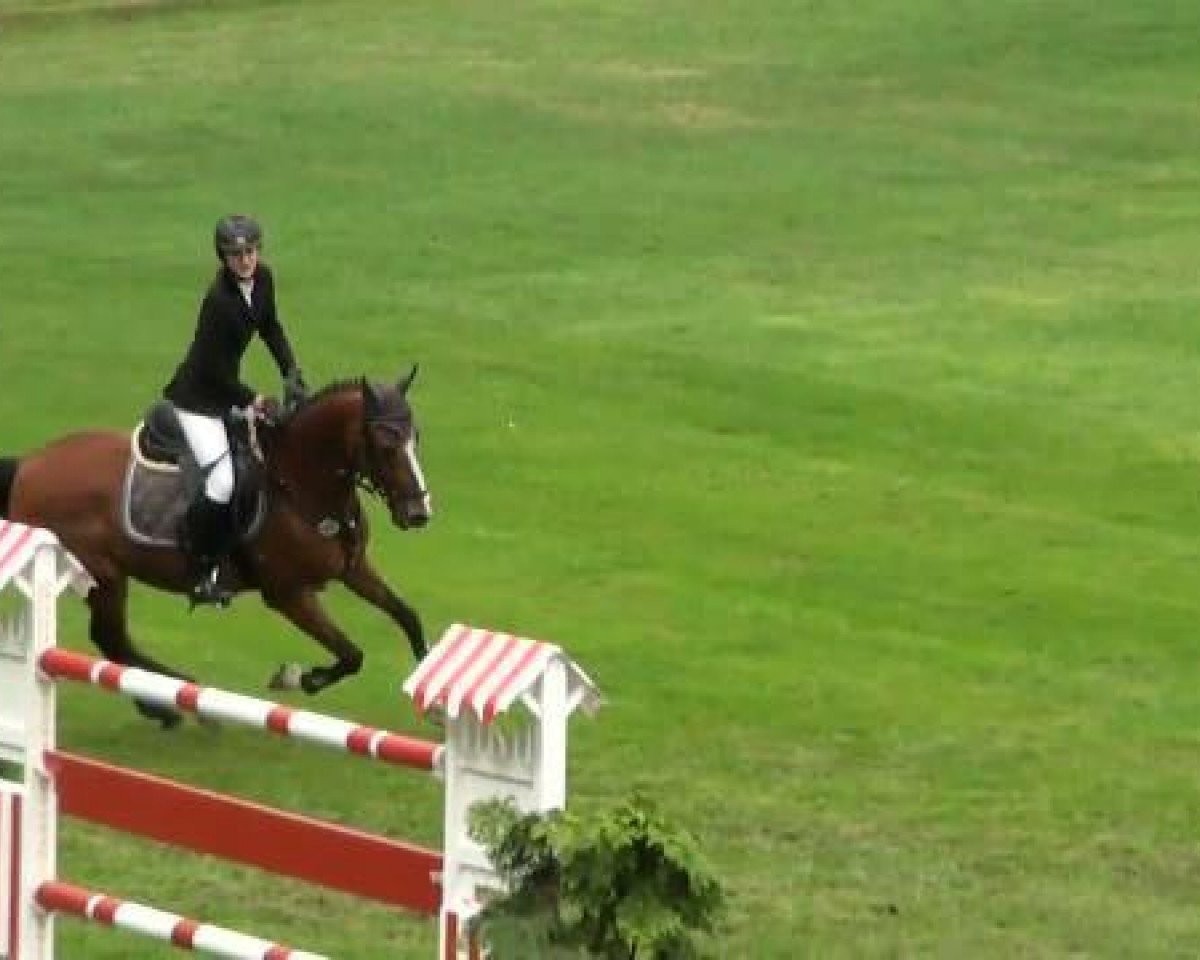 Springpferd Lemon Three (Deutsches Reitpony, 2006, von Lukas)