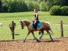 broodmare Bo Derek (German Riding Pony, 2003, from Heidbergs Nancho Nova)