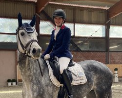 dressage horse Fountain of Dreams (Hanoverian, 2017, from For Dance)