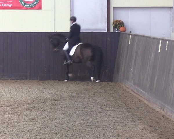 Reitturnier St. Peter-Ording 2022