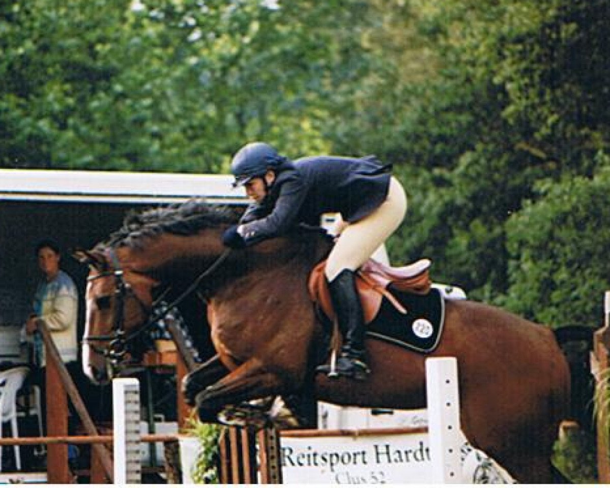 horse Flying Dutchman 31 (KWPN (Royal Dutch Sporthorse), 1992, from Farmer)