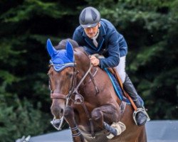 broodmare Clinara (Hanoverian, 2010, from Clinton I)