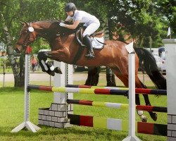 dressage horse Lantinero (Westphalian, 2011, from Laureus NRW)