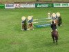 jumper Drossano (Hanoverian, 2000, from Drosselklang II)