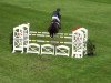 jumper Coral Reef Loretto Classic (Holsteiner, 2003, from Limbus)