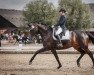 dressage horse Black Pearl 89 (Hanoverian, 2010, from Benetton Dream FRH 1301)