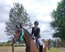 dressage horse L'amour 106 (Hanoverian, 2011, from Licotus)