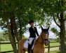 Dressurpferd Bumblebee R (Deutsches Reitpony, 2013, von Casino Royale K WE)