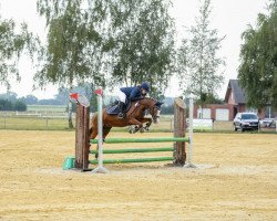 jumper Nancy (German Riding Pony, 2000, from Nantano)