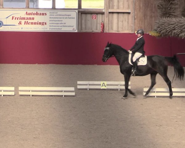 Reitturnier Krumke 2022