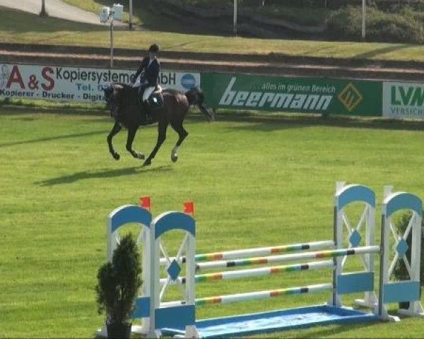 jumper Livorno (Oldenburg, 2006, from Lord Pezi)