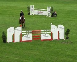 jumper Baloucino H (Bavarian, 2006, from Baloubino B)