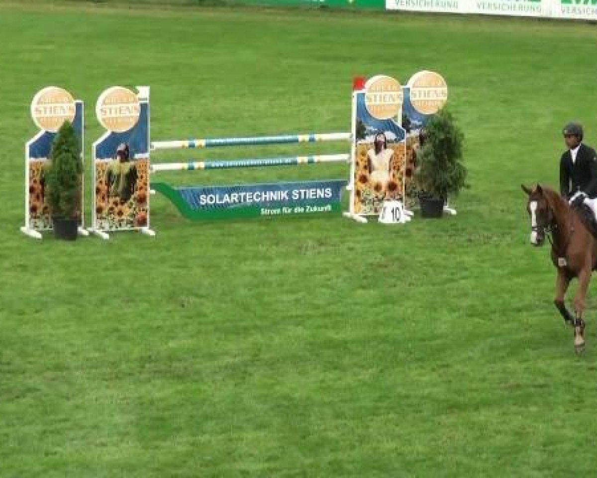 Springpferd Cleine Lea (Westfale, 2006, von Colman)