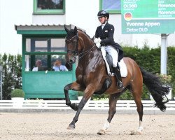 dressage horse Detox OLD (Oldenburg, 2015, from Diamond Hit)