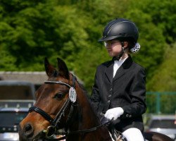 dressage horse Cloe 19 (German Riding Pony, 2006, from Charm of Nibelungen)