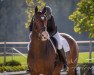 dressage horse Fiete 83 (Hanoverian, 2015, from Fürst Belissaro)