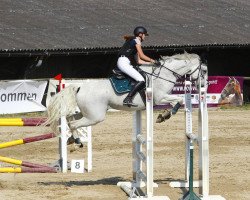 dressage horse Bognar Mekkorka (Hungarian Warmblood, 2010, from Agropoint Cassiloc)