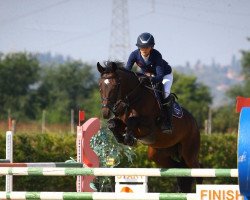 jumper Larina F (KWPN (Royal Dutch Sporthorse), 2016, from Eldorado vd Zeshoek Tn)