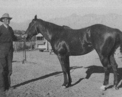 stallion Clabber (Quarter Horse, 1936, from My Texas Dandy)