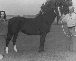 broodmare Cherry Lake xx (Thoroughbred, 1966, from Lake Erie xx)