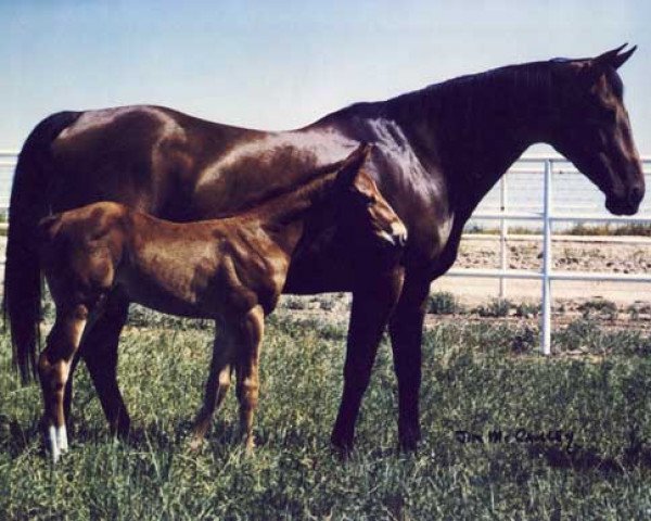 broodmare Charger Bar (Quarter Horse, 1968, from Tiny Charger)