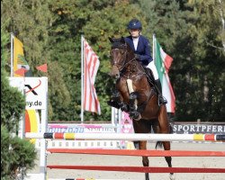 jumper Cascarinja (Hanoverian, 2016, from Casallco)