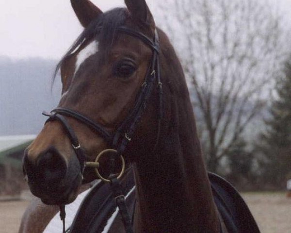 horse BallCalé F (Trakehner, 1999, from Heraldik xx)