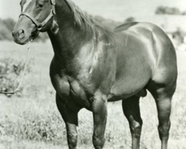 stallion Blondy's Dude (Quarter Horse, 1957, from Small Town Dude)