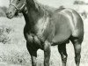 Deckhengst Blondy's Dude (Quarter Horse, 1957, von Small Town Dude)