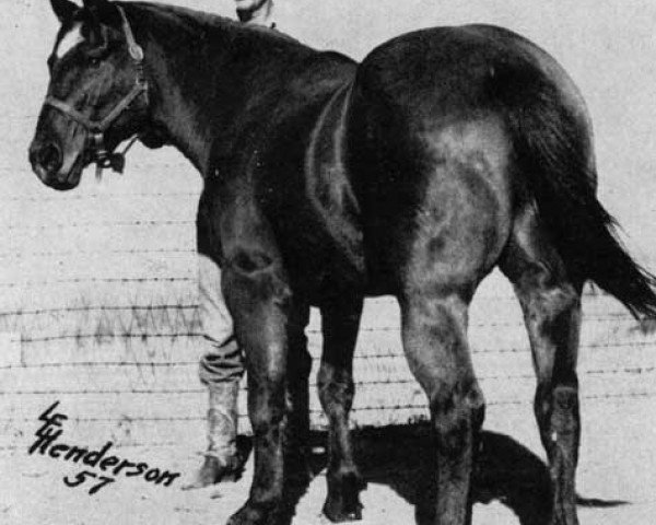 Deckhengst Billy Clegg (Quarter Horse, 1932, von Paul Ell)