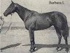 broodmare Barbara L (Quarter Horse, 1947, from Patriotic xx)