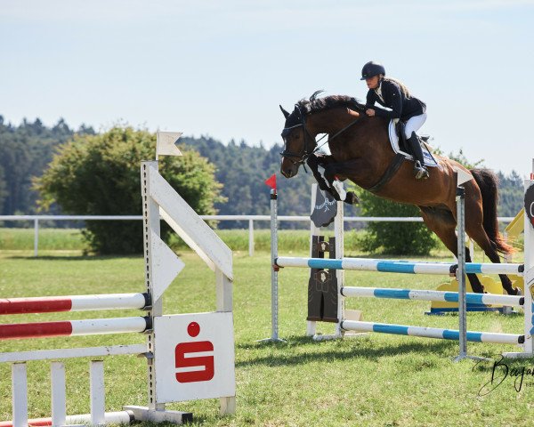 jumper Linus Little (Holsteiner, 2017, from Larimar)