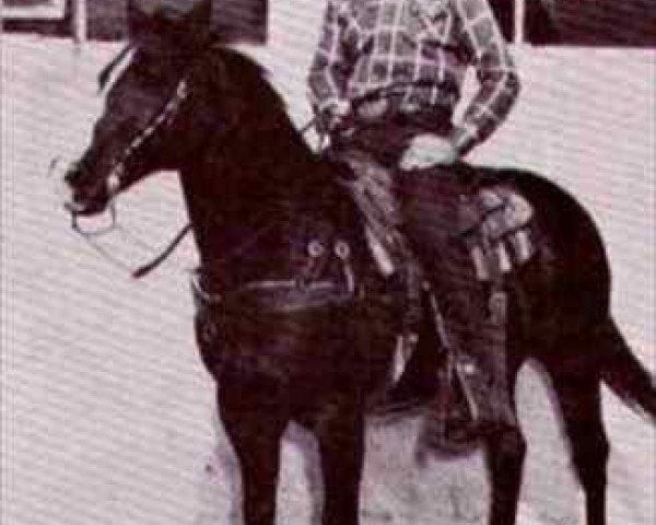 Zuchtstute Baby Doll Combs (Quarter Horse, 1947, von Oklahoma Star Jr)