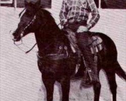 Zuchtstute Baby Doll Combs (Quarter Horse, 1947, von Oklahoma Star Jr)