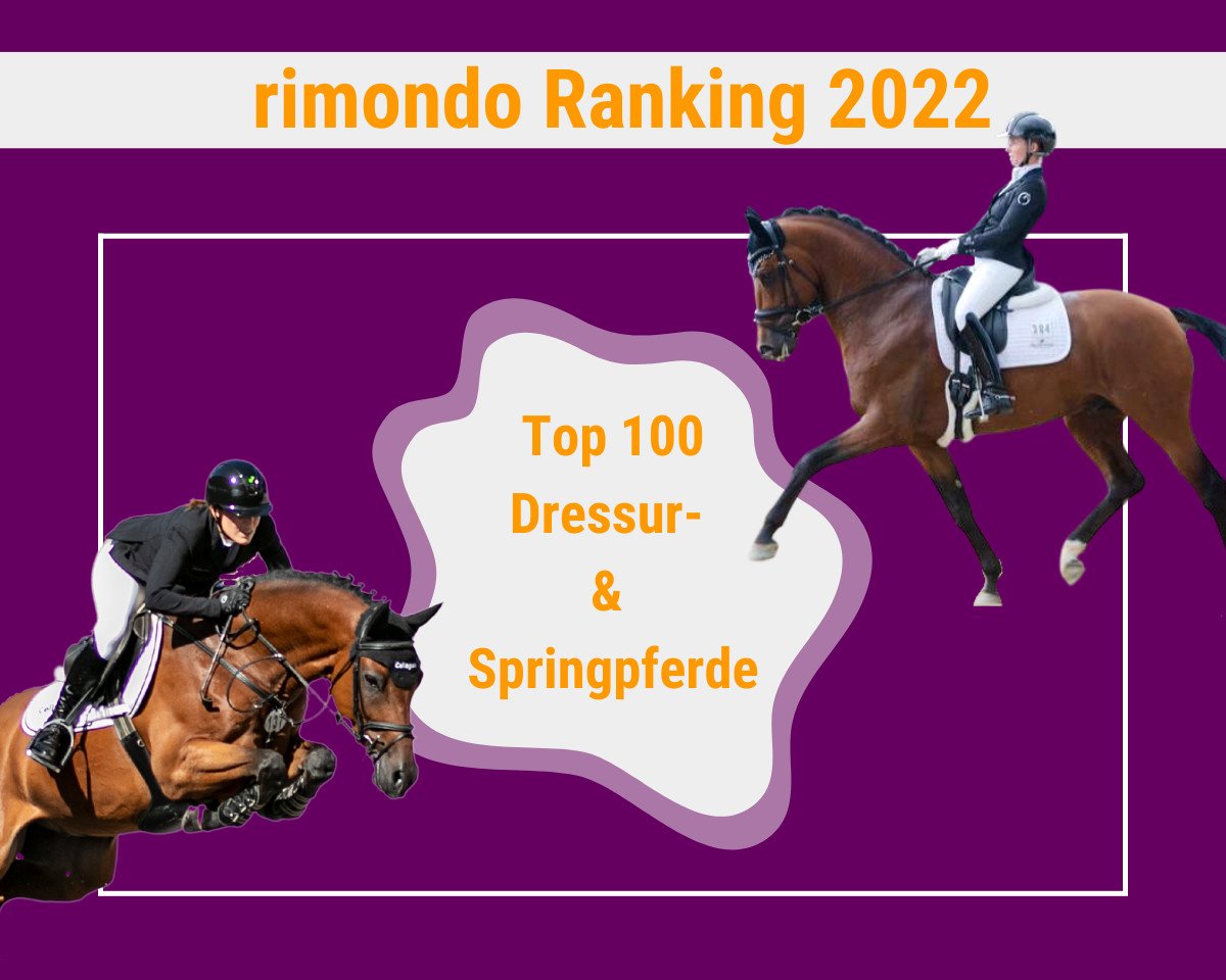 Creed Skæbne på vegne af Top 100 Dressurpferde auf A-Niveau (20.10.2022) - rimondo Ranking 2022 –  Dressur- und Springpferde - rimondo