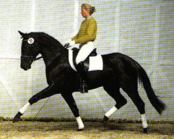 Zuchtstute Wanessa 119 (Hannoveraner, 1988, von Warkant)