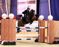 jumper Carabas 3 (German Riding Pony, 2004, from FS Champion de Luxe)