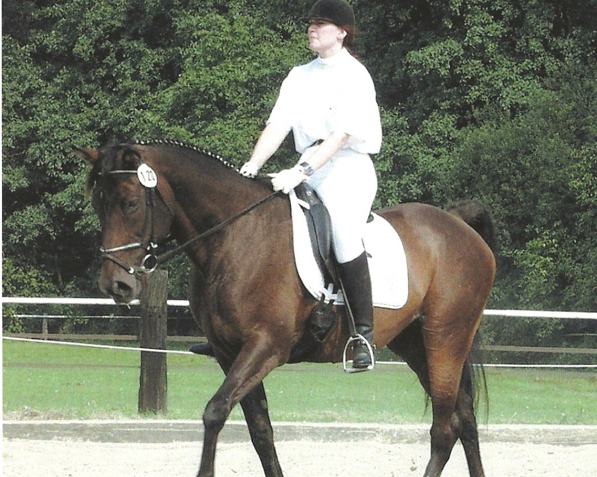 horse Romantica (Westphalian, 1985, from Romanus)