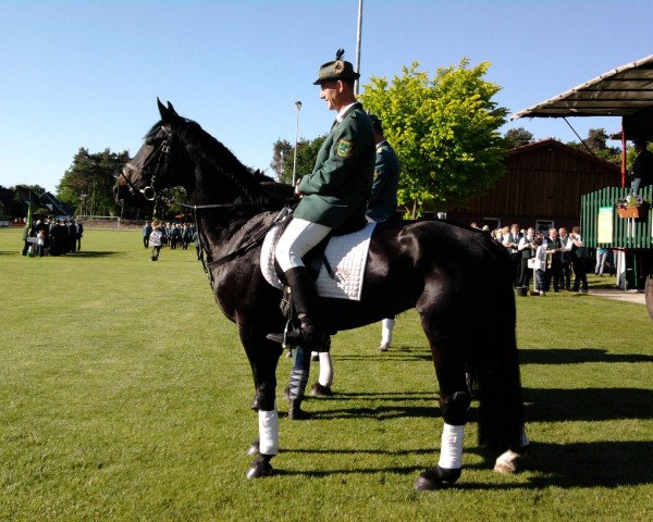 broodmare Chanel (Hanoverian, 1997, from Carbid 3)