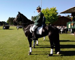 broodmare Chanel (Hanoverian, 1997, from Carbid 3)