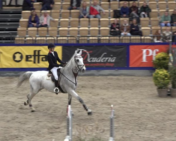 FEI Reitturnier Neumünster 2022