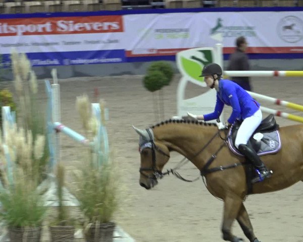 FEI Reitturnier Neumünster 2022