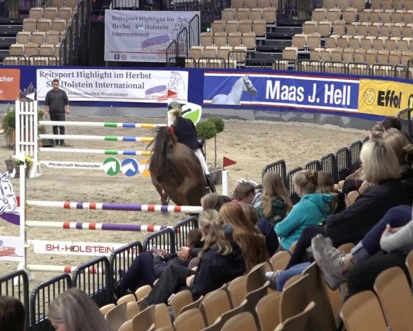 FEI Reitturnier Neumünster 2022
