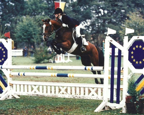 Zuchtstute Tamara (Deutsches Reitpony, 1991, von Rosedale Tiberius)