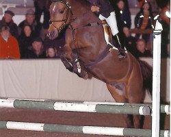 broodmare Rodessa (German Riding Pony, 1985, from Rosedale Tiberius)