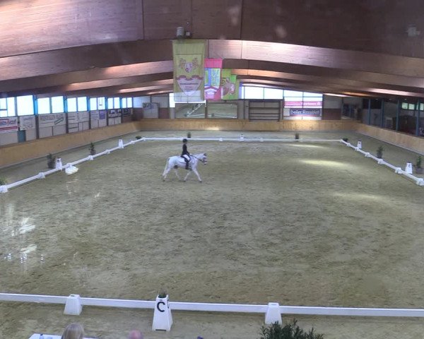 Reitturnier Steinhagen 2022