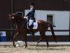 dressage horse Rien ne va plus (Westphalian, 2000, from Royal Dance)